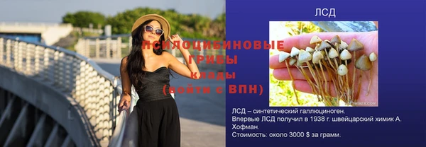 прущие крисы Верхний Тагил