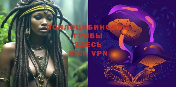 2c-b Верея